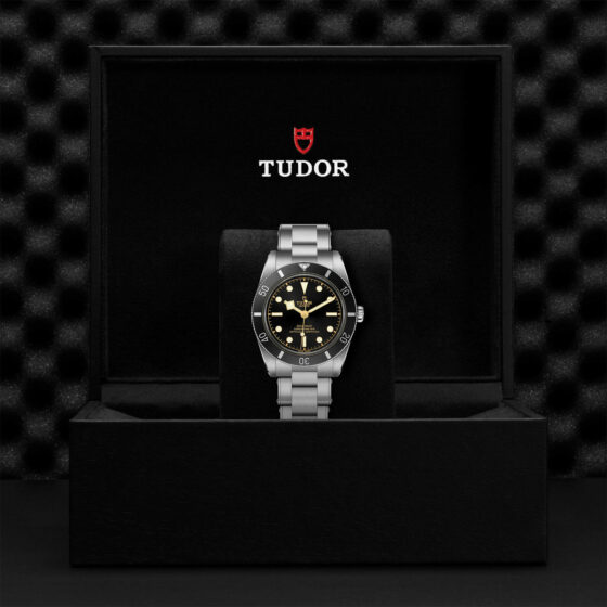 Tudor Black Bay 54