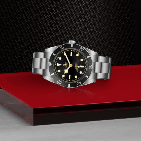 Tudor Black Bay 54