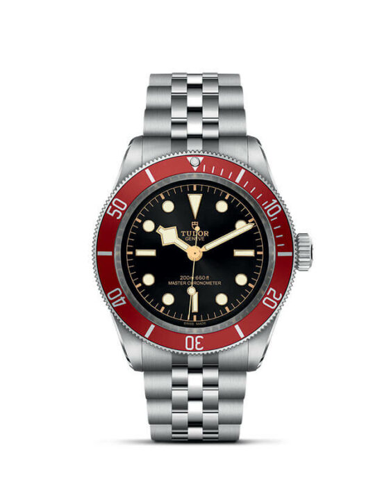 Tudor Black Bay