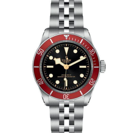 Tudor Black Bay