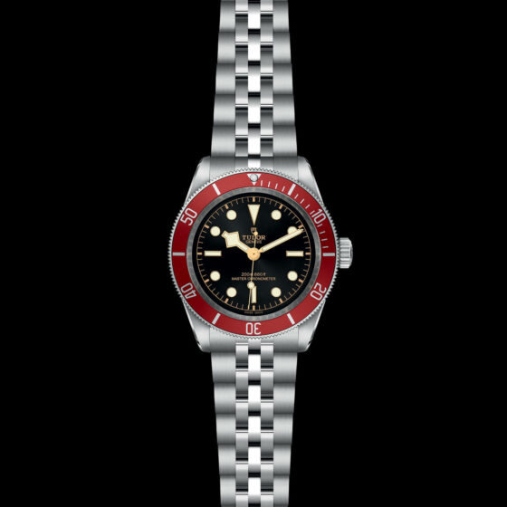 Tudor Black Bay