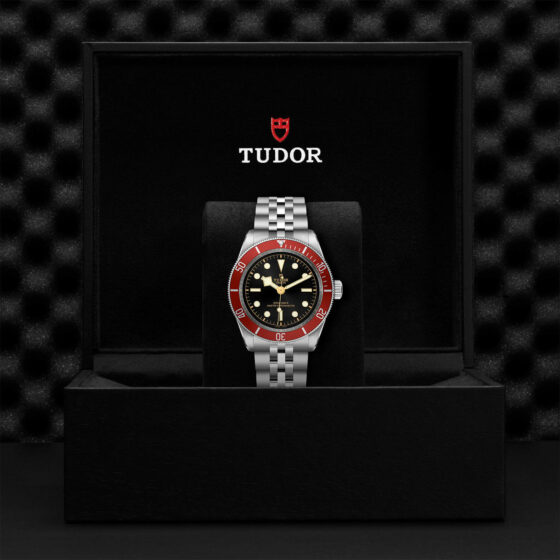 Tudor Black Bay