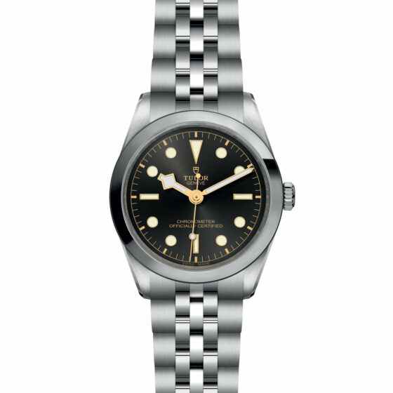 Tudor Black Bay 36