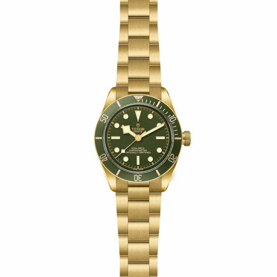 Tudor Black Bay