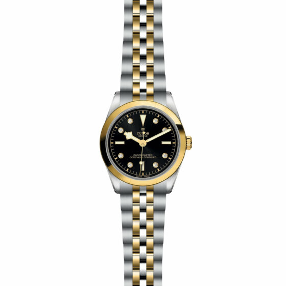 Tudor Black Bay