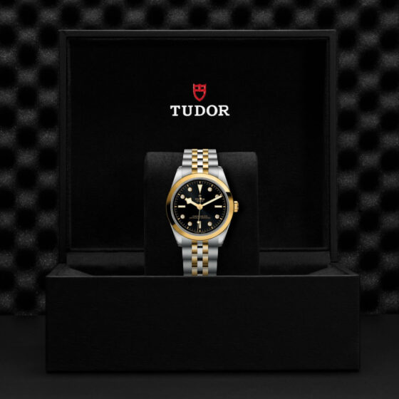 Tudor Black Bay